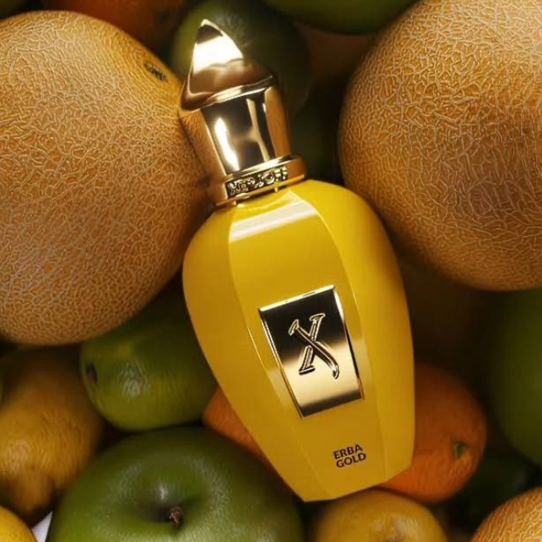 香水(ユニセックス) XERJOFF ERBA GOLD 50ml Amazon.com: XERJOFF V